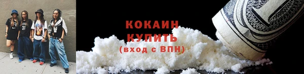 кокс Вяземский
