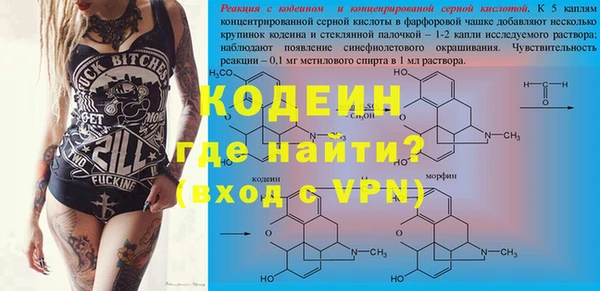 кокс Вяземский
