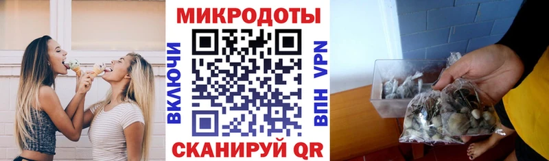 Галлюциногенные грибы мухоморы Перевоз